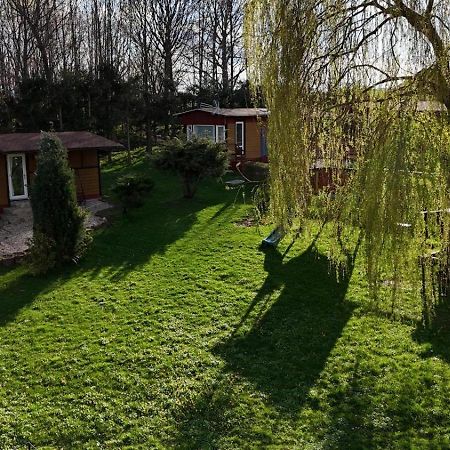 Izerski Poranek Gryfów Śląski 외부 사진